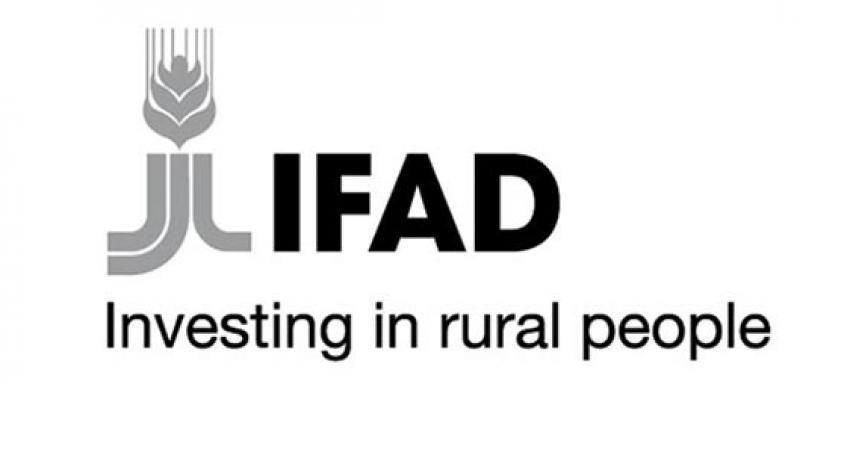 ifad-logo